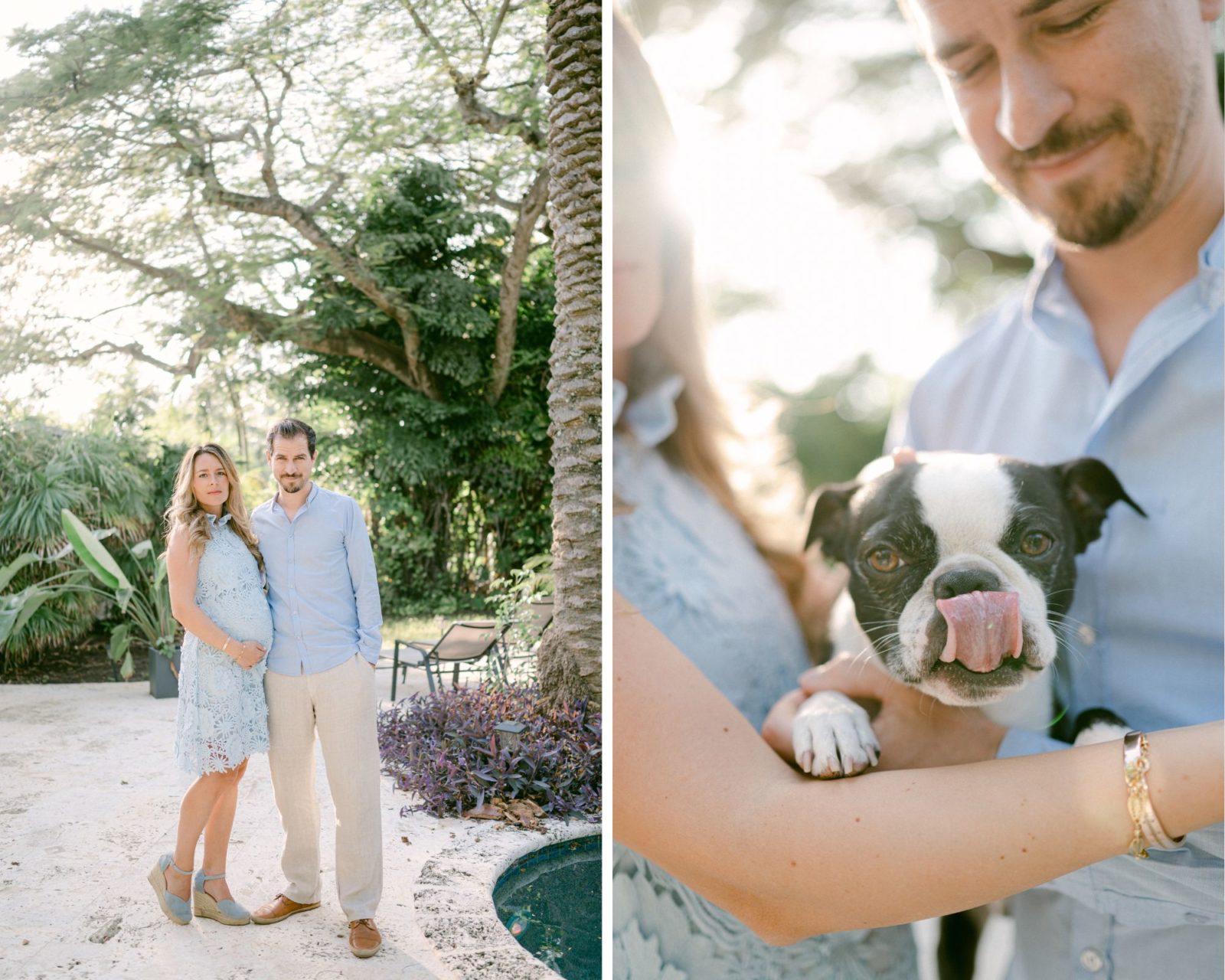 At home maternity photos with dog | Coral Gables