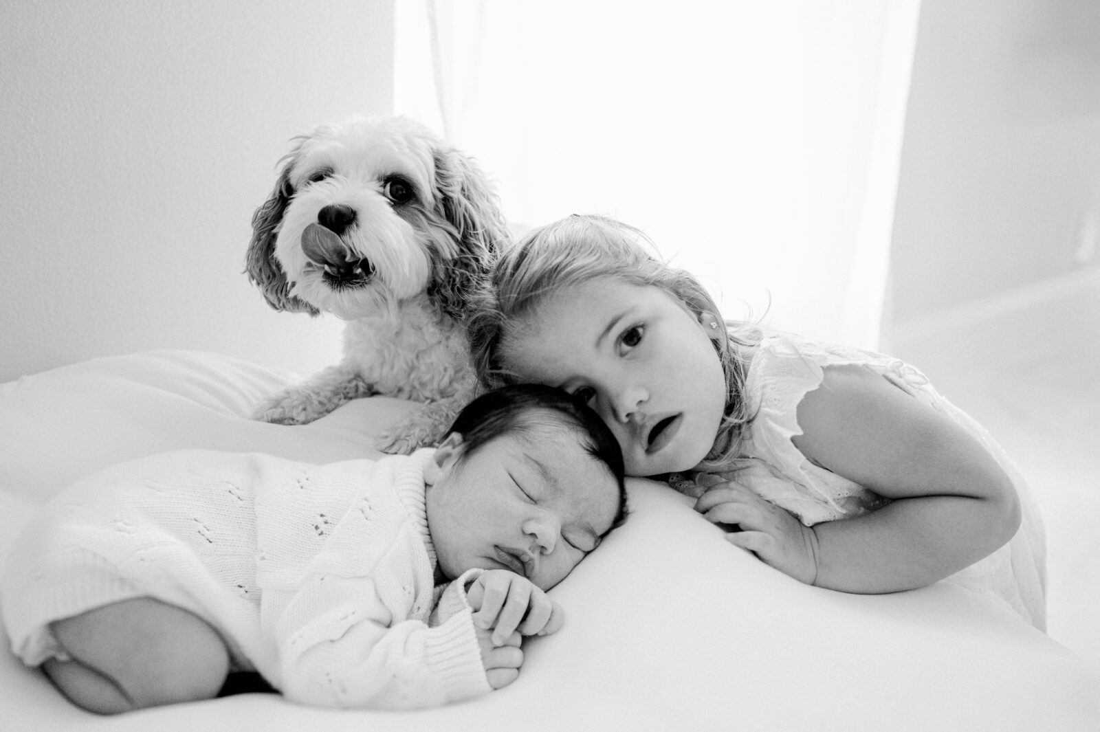 Picture of all the siblings including a newborn, a little girl and their dog by Miami Newborn Photographer