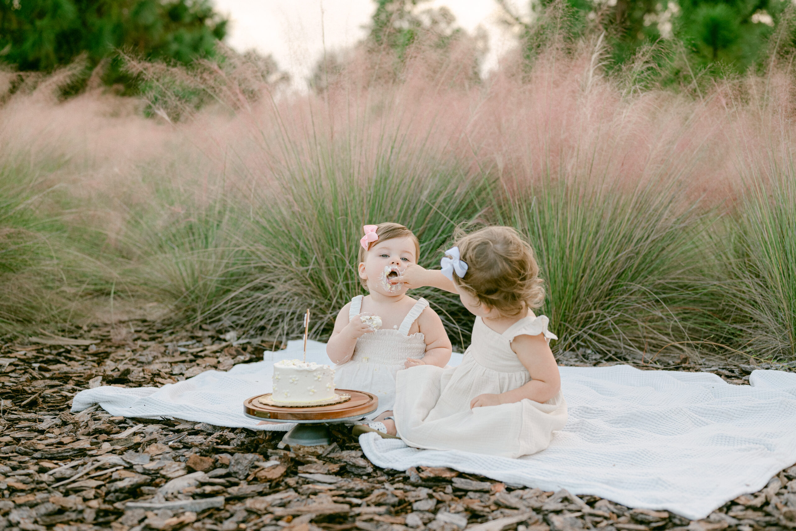 Smash cake photo in Miami pink grass