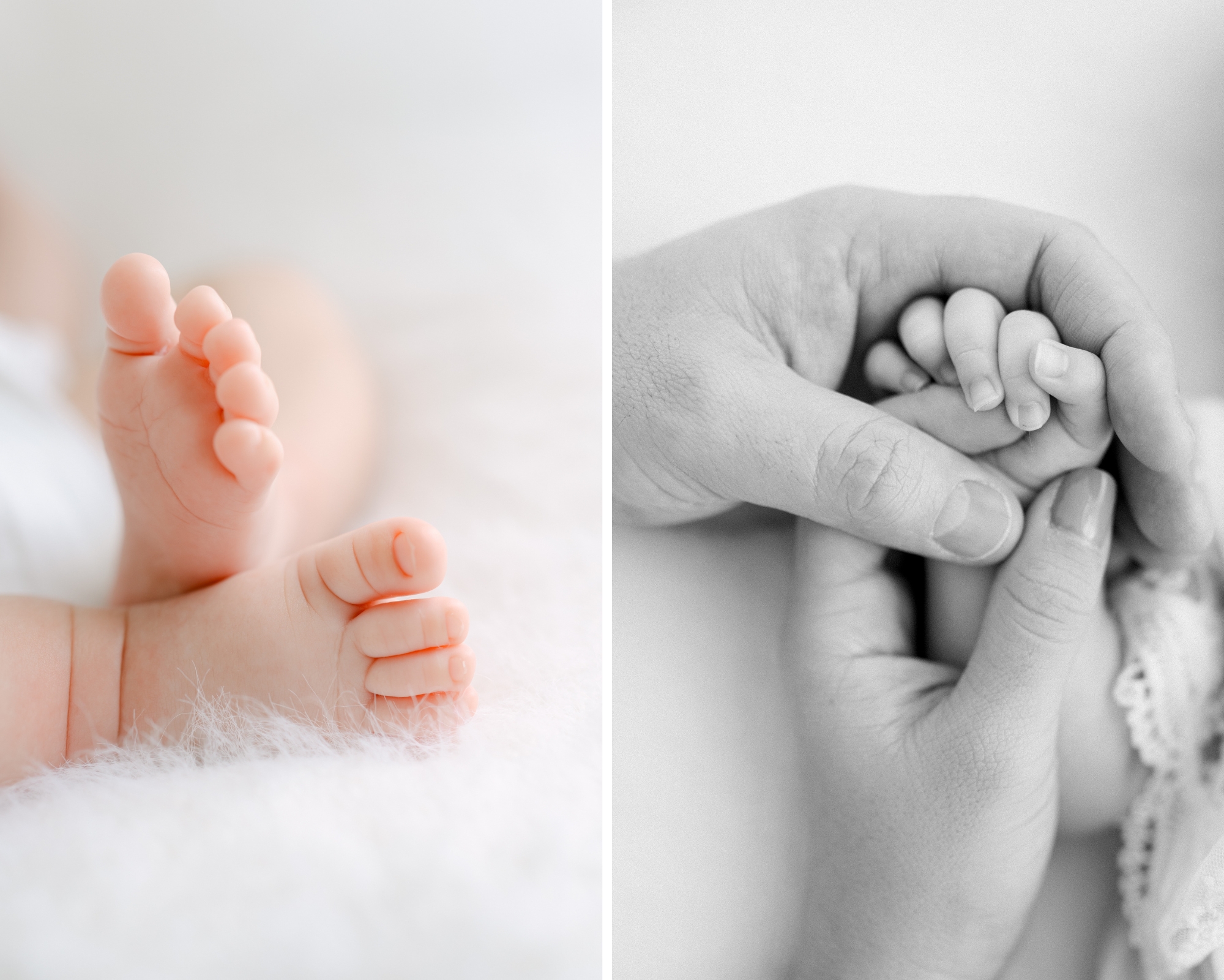 Newborn details feet and hands