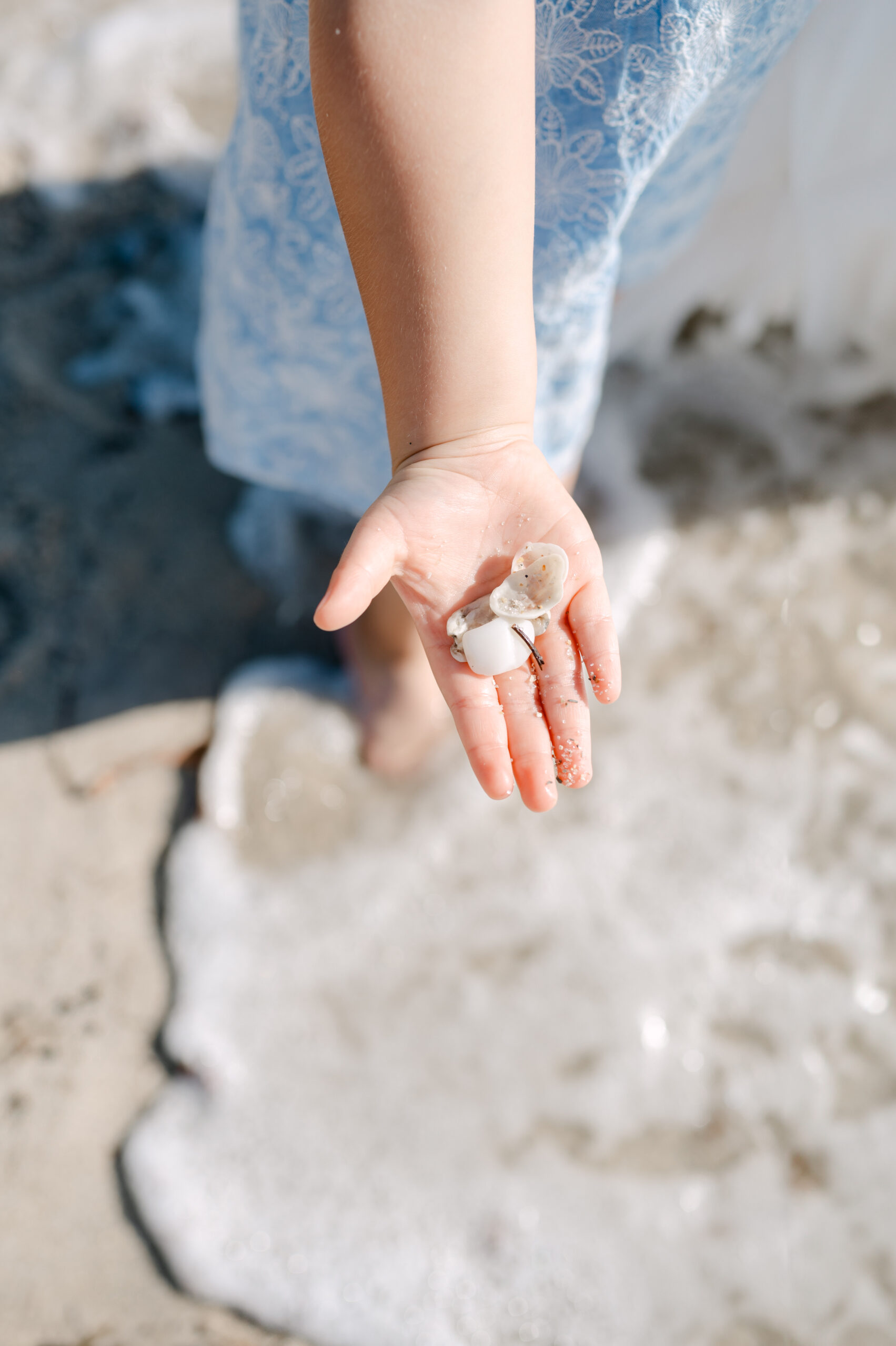 Little girl showing the seashells she got at the beach